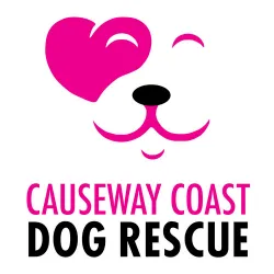 Causeway Coast Dog Rescue Limited